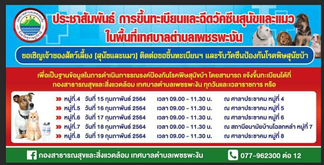 บริการการขึ้นทะเบียนและฉีดวัคซีนสุนัขและแมวในพื้นที่เทศบาลตำบลเพชรพะงัน  ประจำปีงบประมาณ 2564